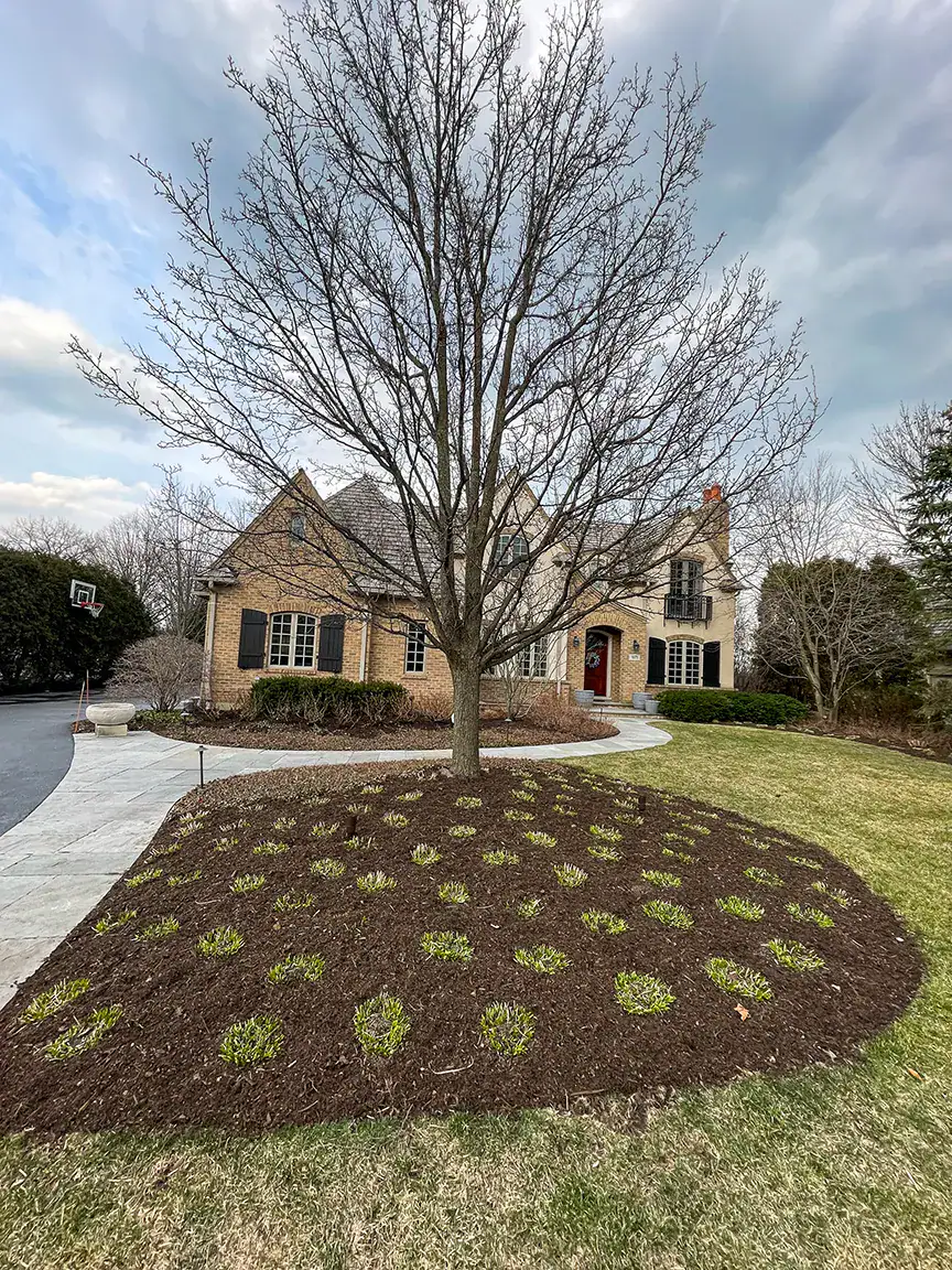 winter mulching