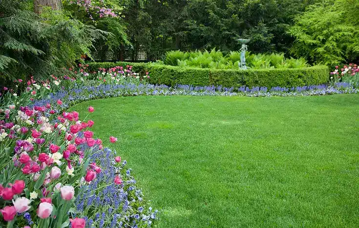 Backyard with flower bed