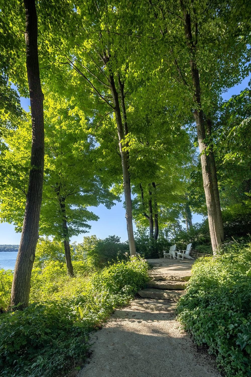 A narrow path with stone steps leads through a lush, green forest to a small clearing with white chairs overlooking Lake Geneva in the background, under a clear blue sky.