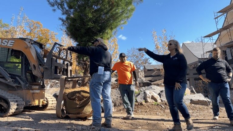 On a sunny day, construction workers and a woman oversee a tree being moved by a front loader, showcasing the precision involved in commercial landscape construction.