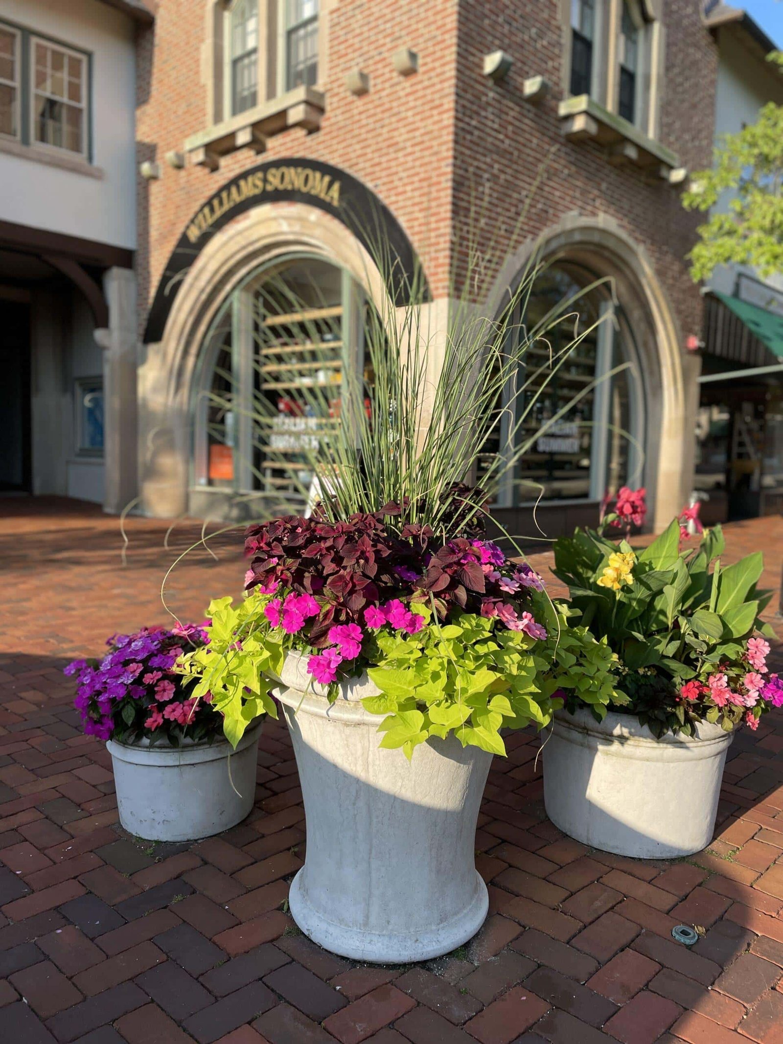 Three large planters, expertly arranged as part of landscape maintenance for HOAs, boast vibrant flowers and tall grasses. They line a brick walkway leading to a building adorned with a "Williams Sonoma" sign above its rounded window.