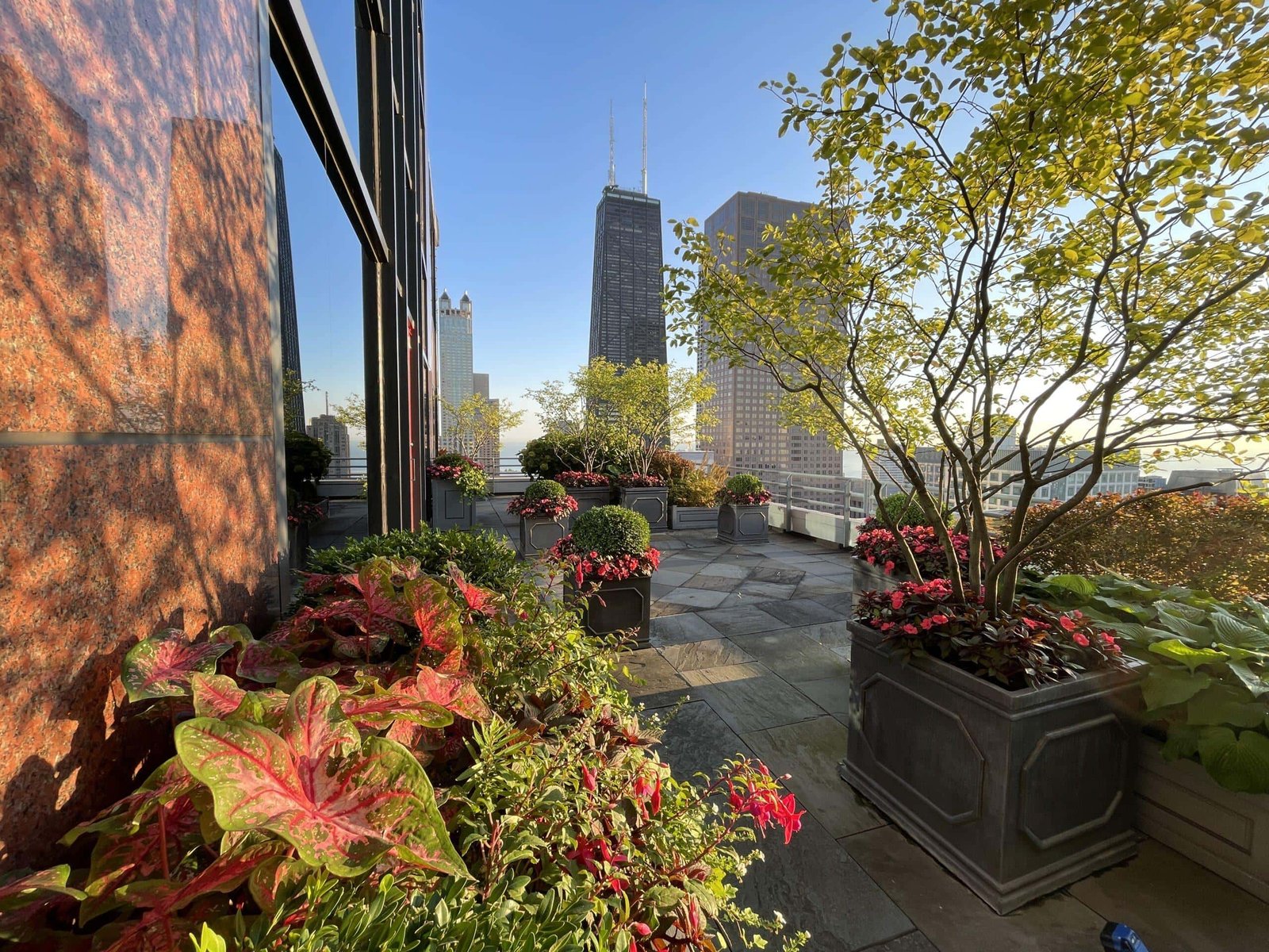A rooftop garden boasts potted plants and flowers, all thriving with expert landscape maintenance for HOAs. Towering city skyscrapers line the backdrop beneath a clear blue sky.