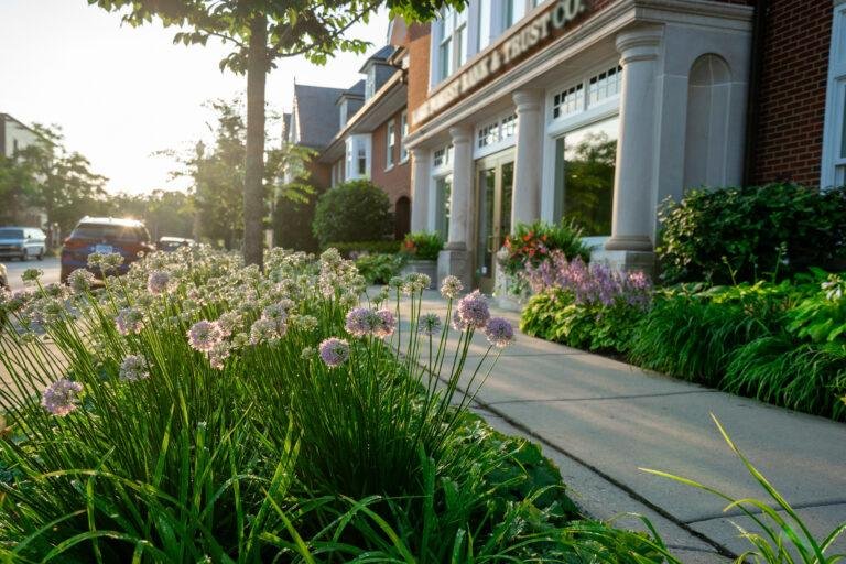 A sunny day casts light on a sidewalk lined with flowering plants, showcasing the meticulous landscape maintenance typical of business parks in front of a brick building.