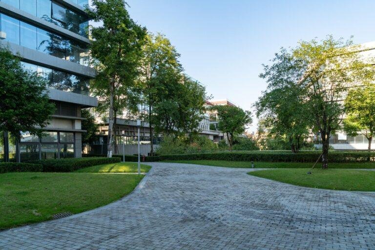 Modern buildings framed by trees and greenery, with a paved pathway leading through the meticulously maintained grass—a testament to effective landscape maintenance for hospitals.