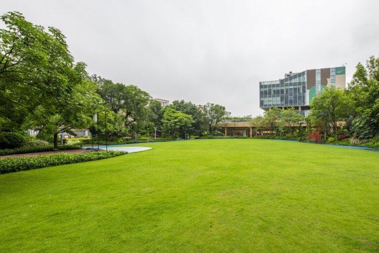 A large, well-maintained grassy area surrounded by trees and a modern building in the background, showcasing excellent landscape maintenance suitable for hospitals under a cloudy sky.